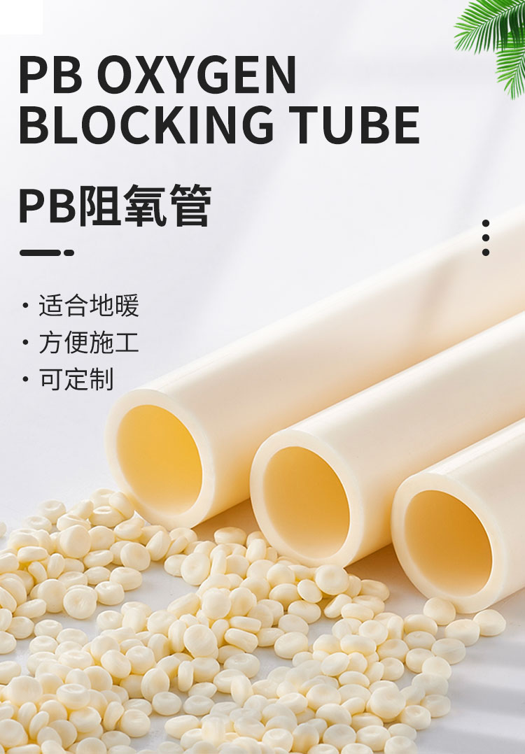 PB_01