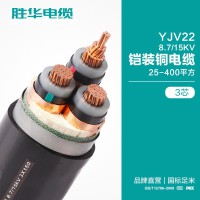 新乡电缆厂家YJV22 8.7/15KV铠装铜电缆 寿命长