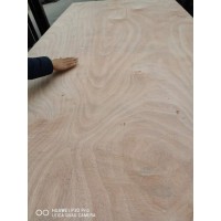 15mm单面桃花芯一次成型胶合板