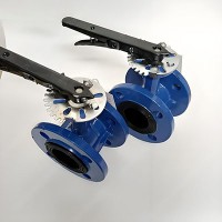 吴忠仪表/D341X法兰橡胶蝶阀