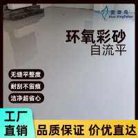 蓝翠鸟环氧彩砂地坪漆 国外热门客户喜爱 坚固耐用